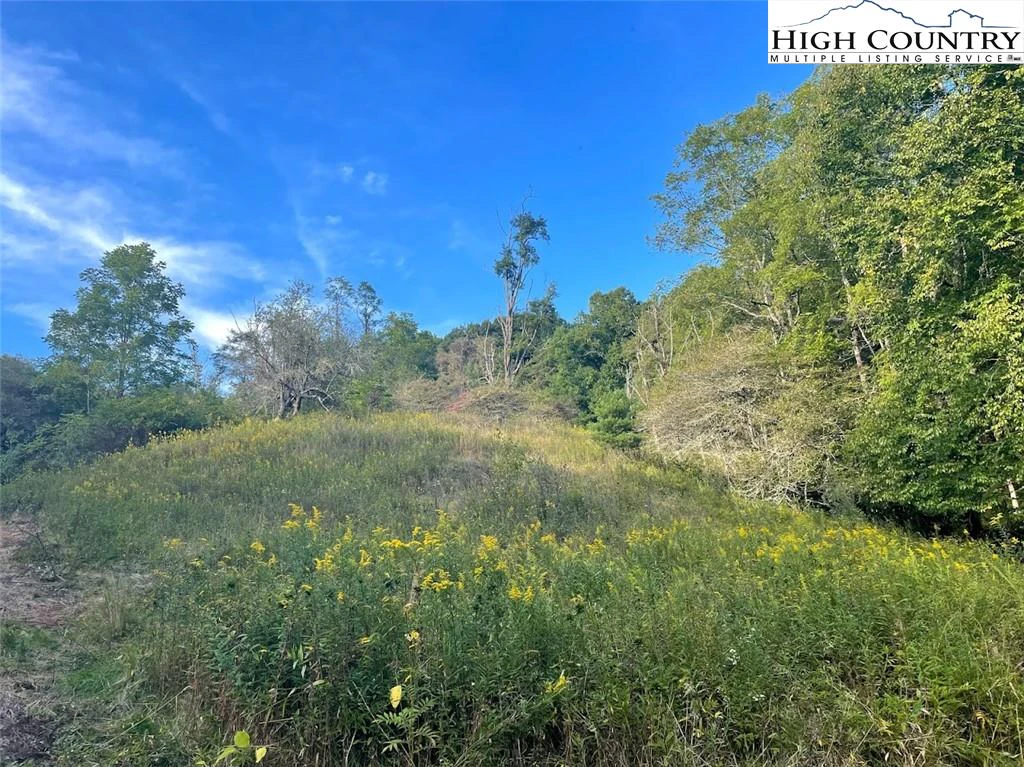 Image number 1 for the current listing