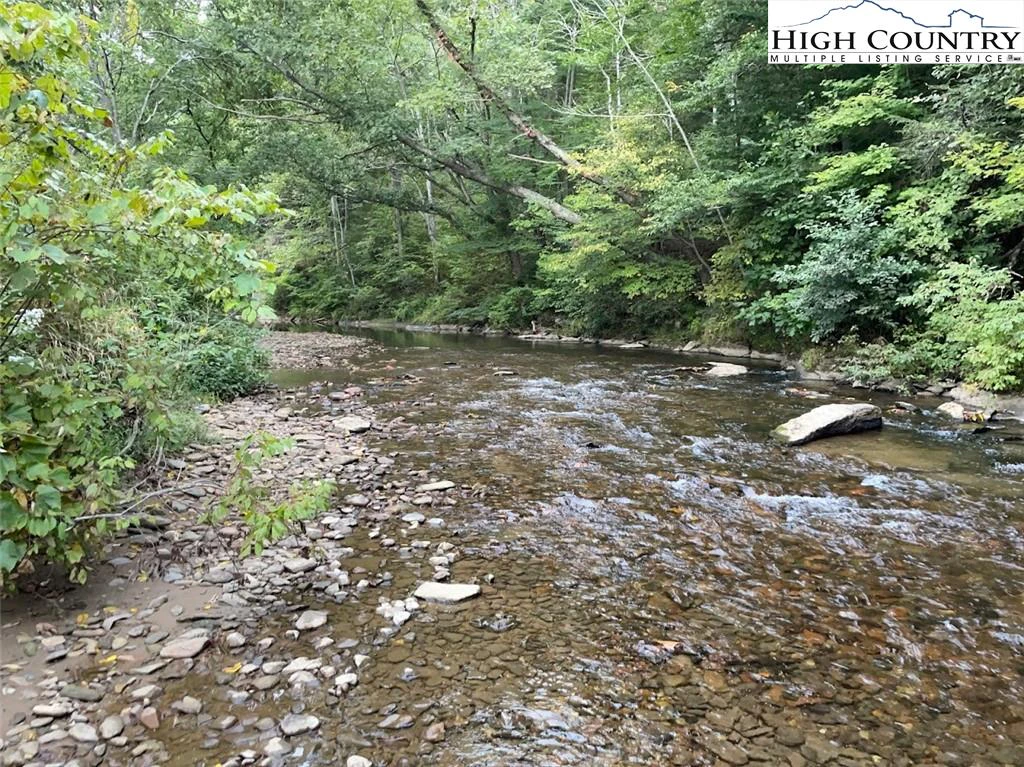 Image number 5 for the current listing