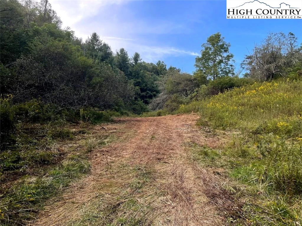Image number 14 for the current listing