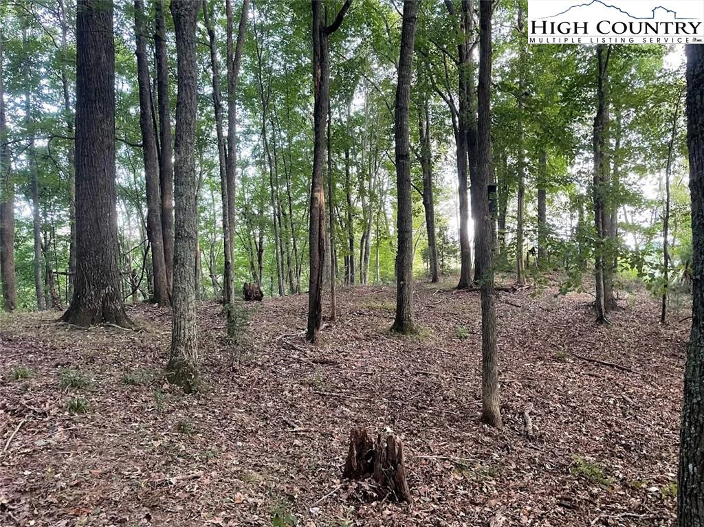 Image number 11 for the current listing