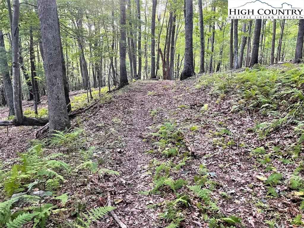 Image number 2 for the current listing