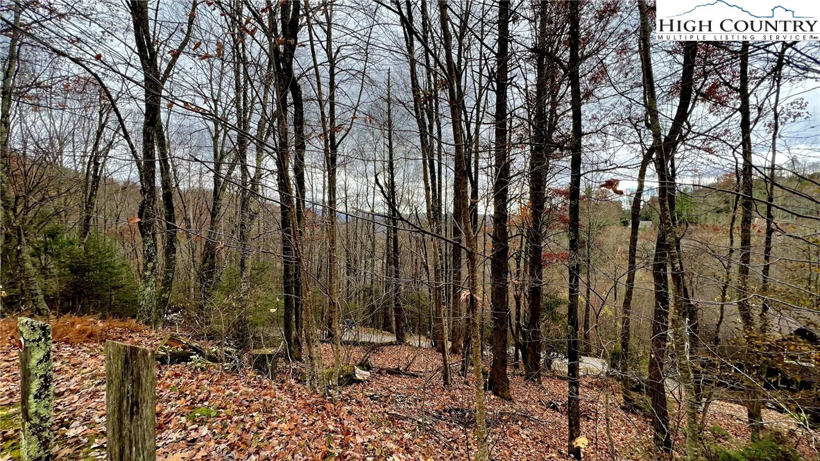 Image number 1 for the current listing