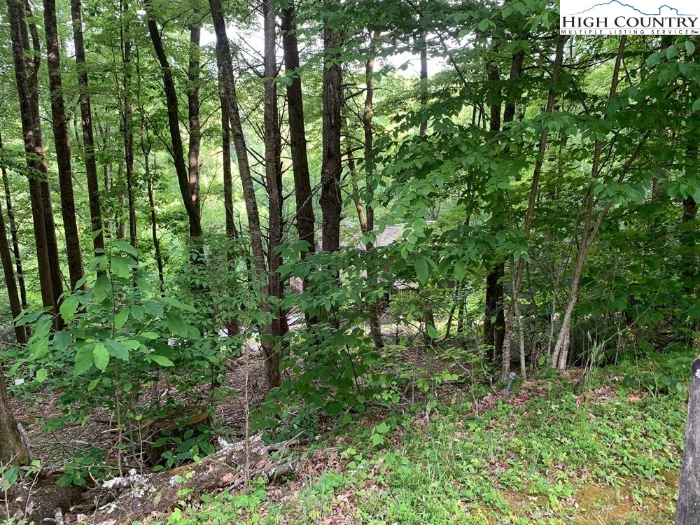 Image number 9 for the current listing