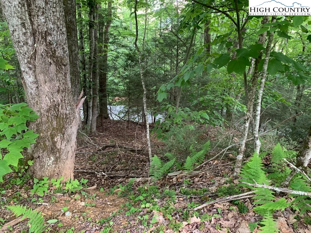 Image number 11 for the current listing