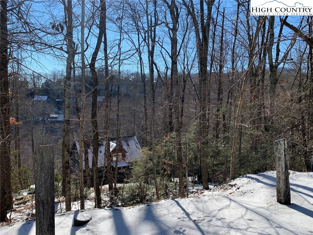Image number 14 for the current listing
