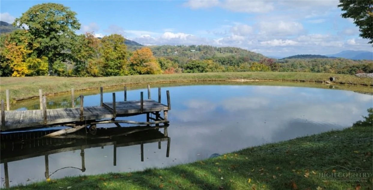 Image number 1 for the current listing