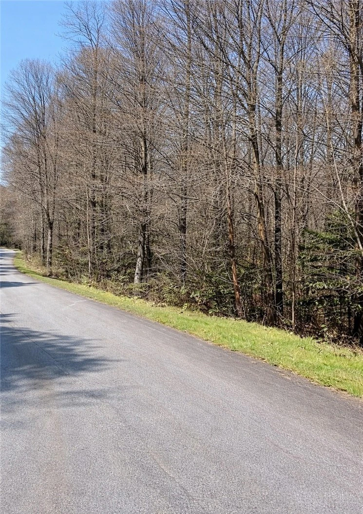 Image number 6 for the current listing
