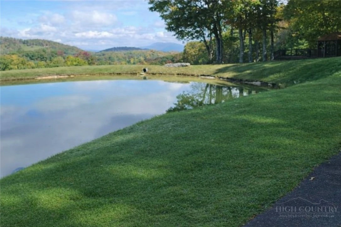 Image number 7 for the current listing