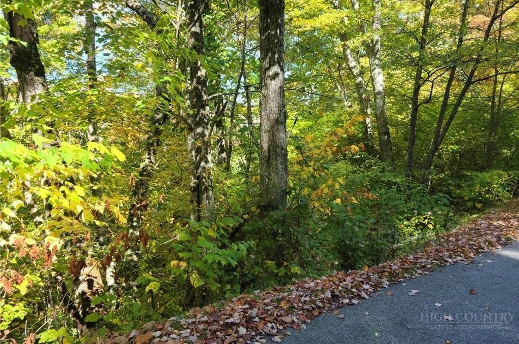 Image number 8 for the current listing