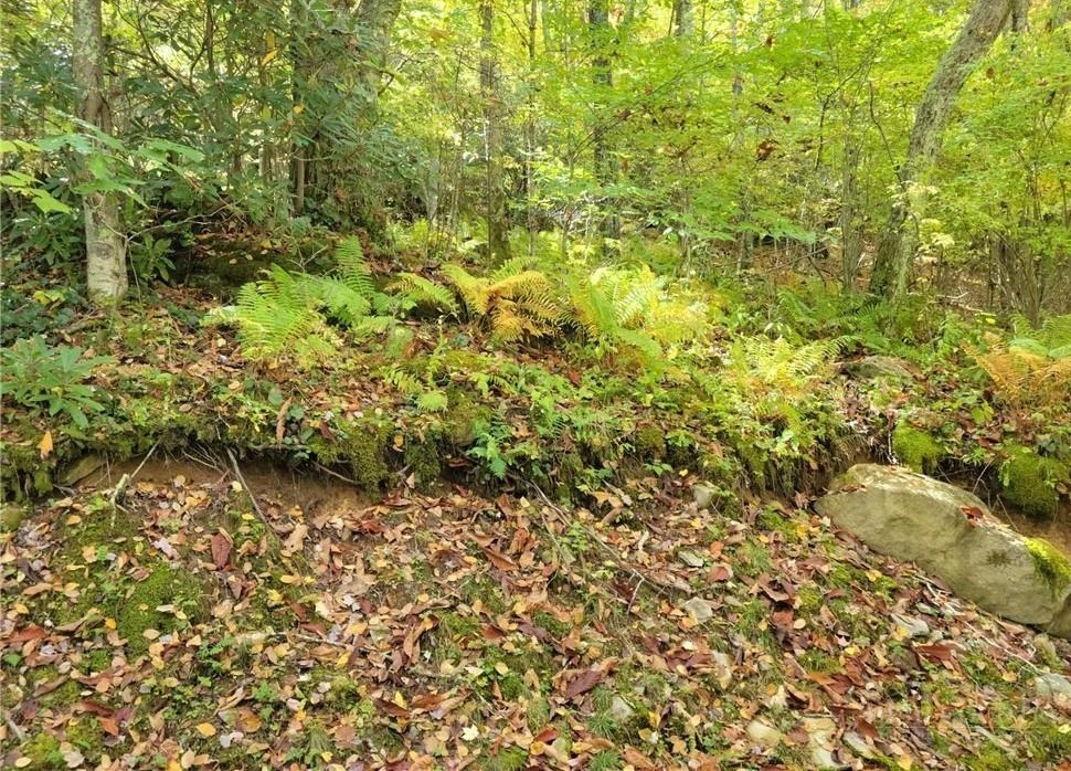 Image number 10 for the current listing