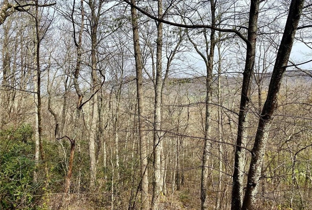 Image number 3 for the current listing