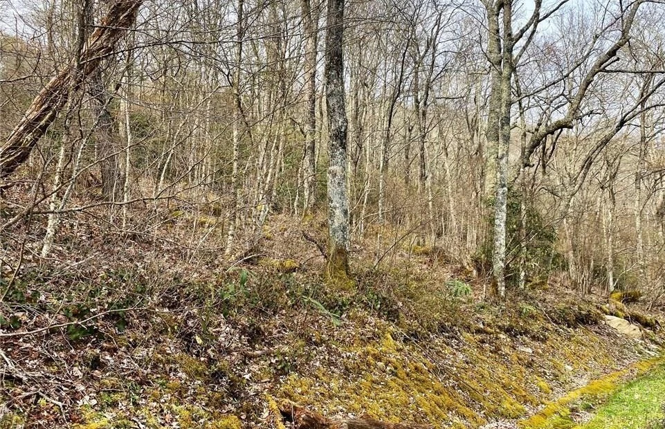Image number 11 for the current listing