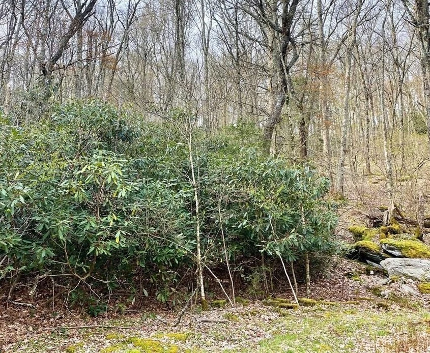 Image number 13 for the current listing