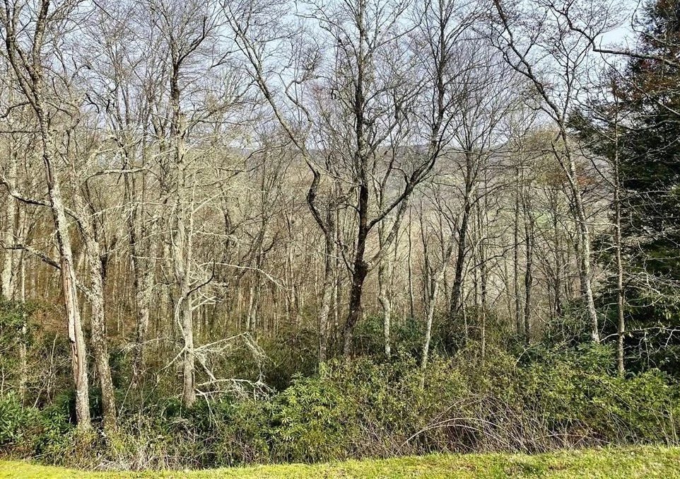 Image number 14 for the current listing
