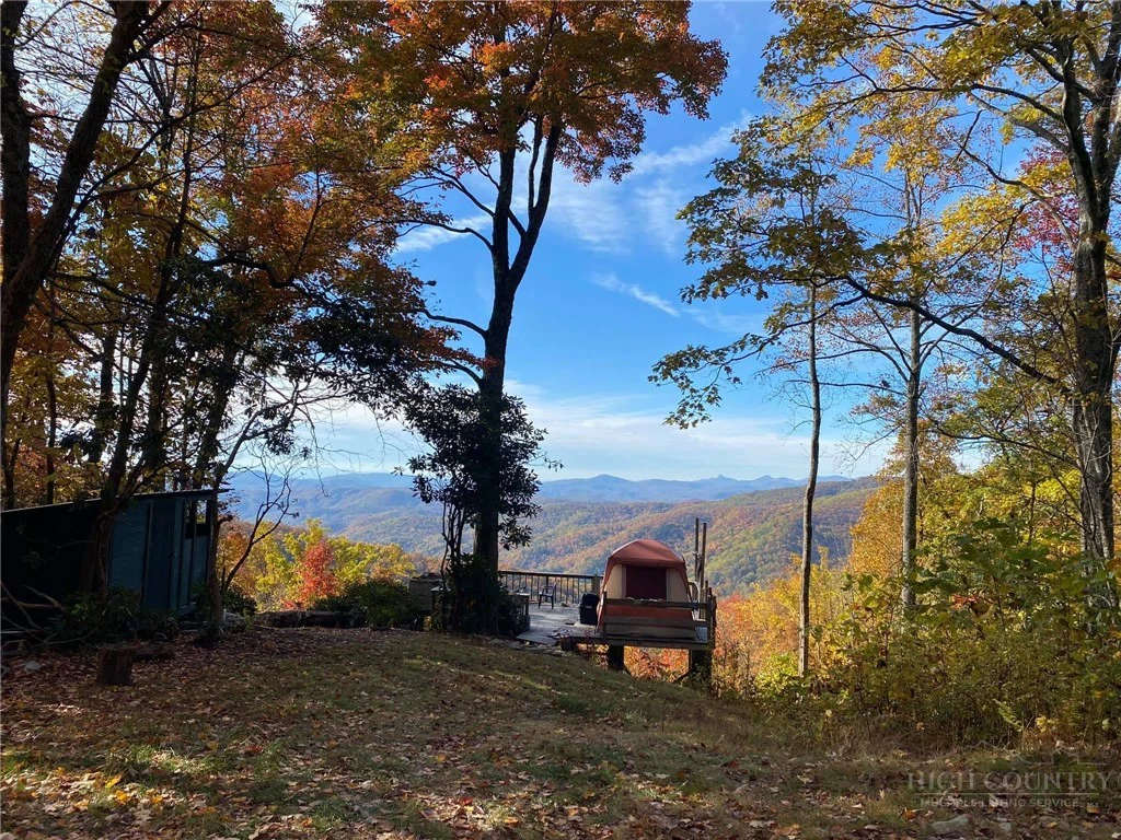 Image number 13 for the current listing