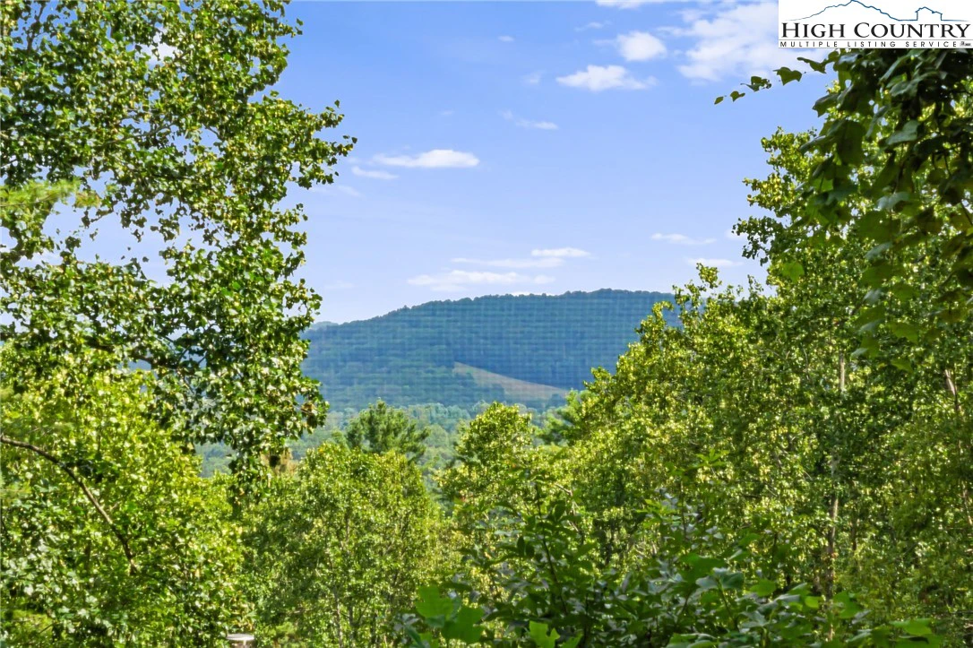 Image number 9 for the current listing