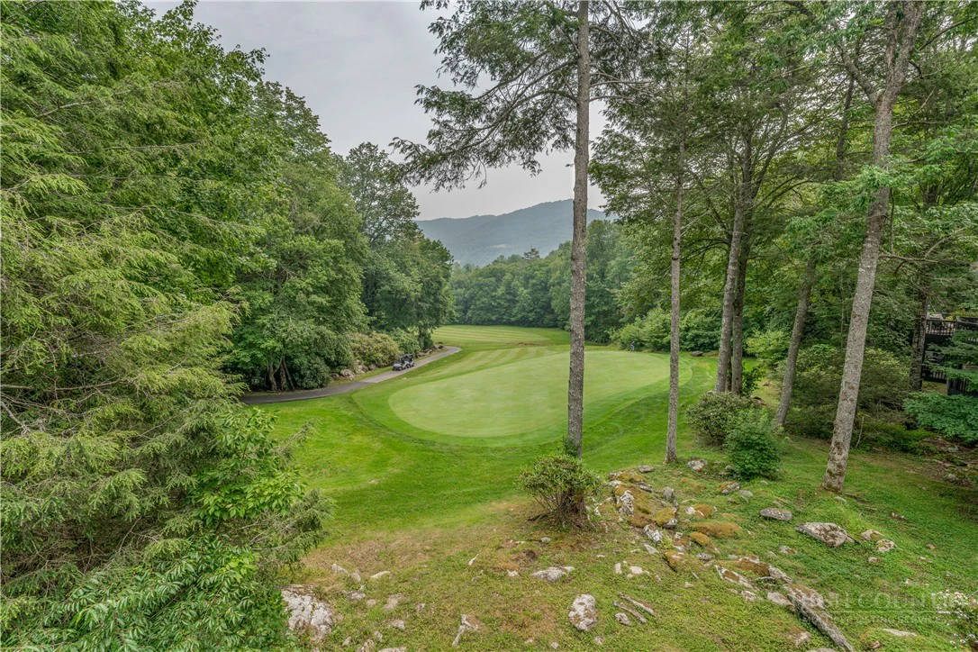 Image number 7 for the current listing