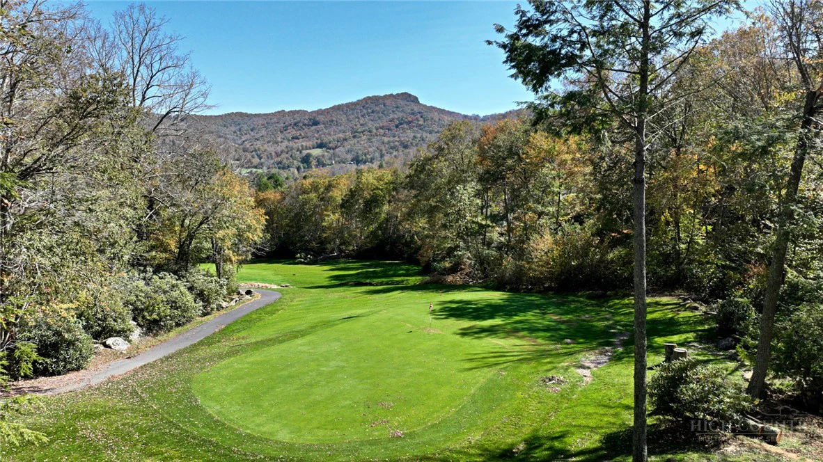 Image number 8 for the current listing