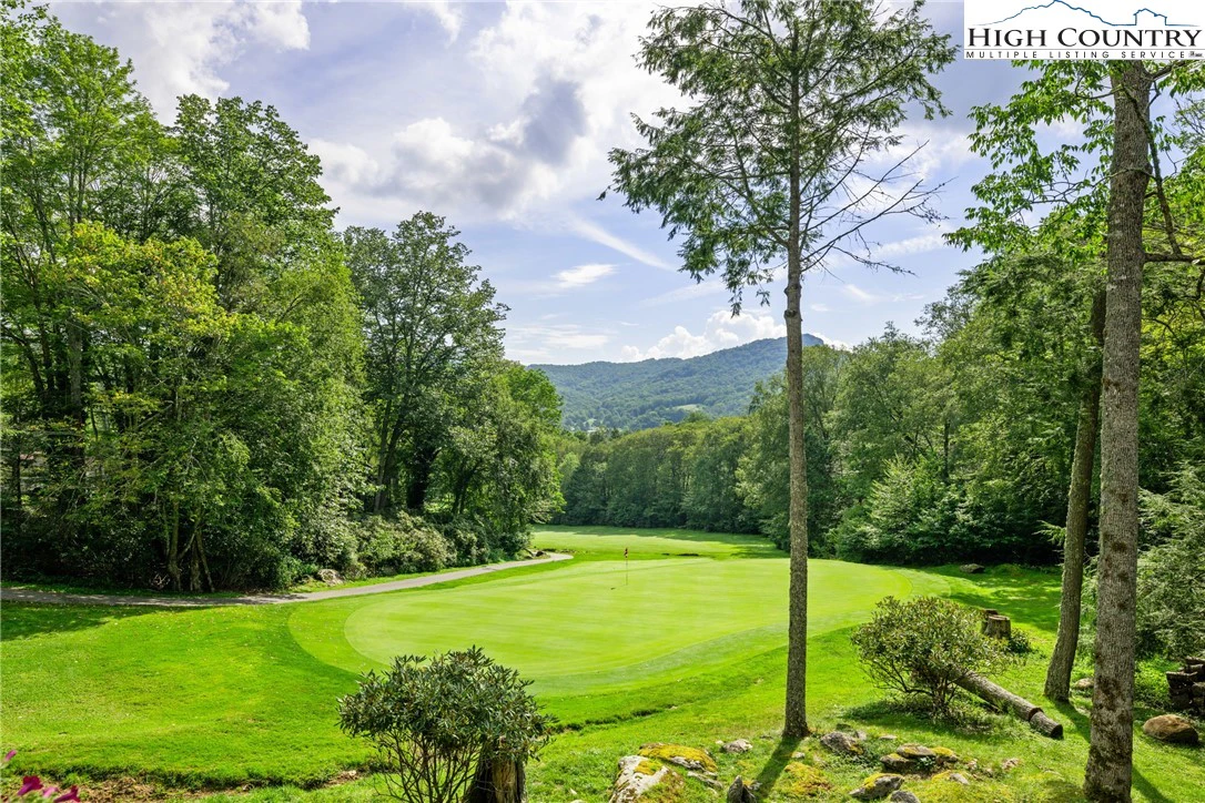 Image number 5 for the current listing