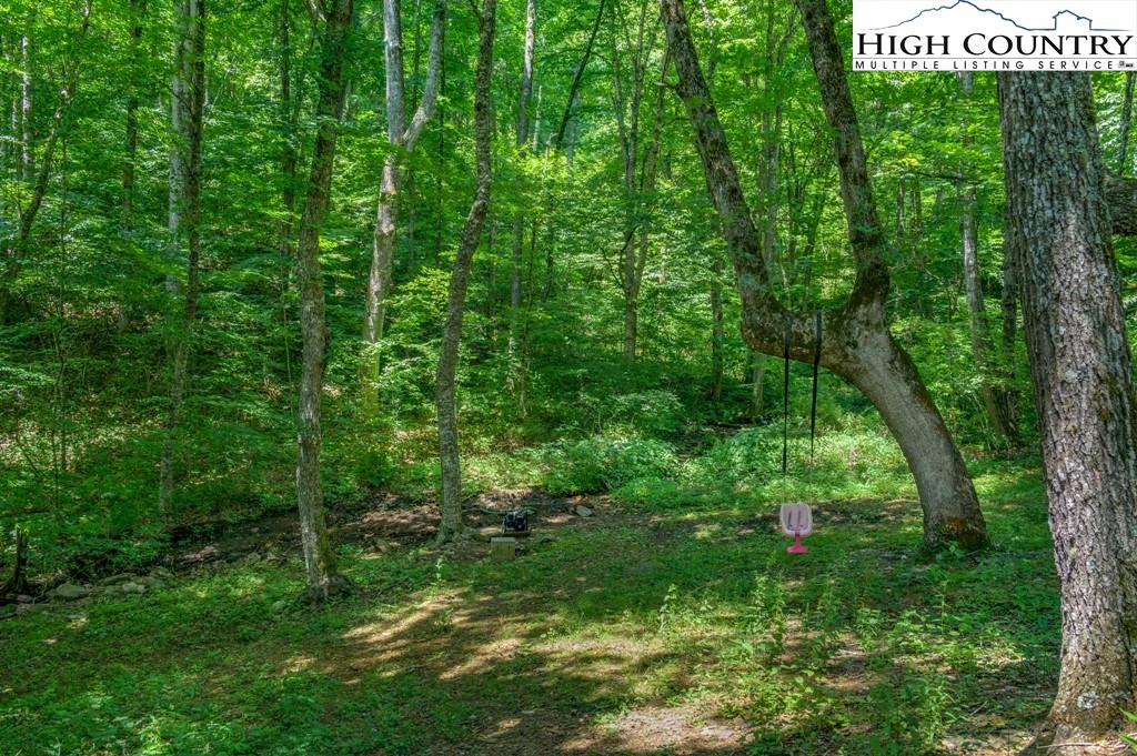 Image number 4 for the current listing