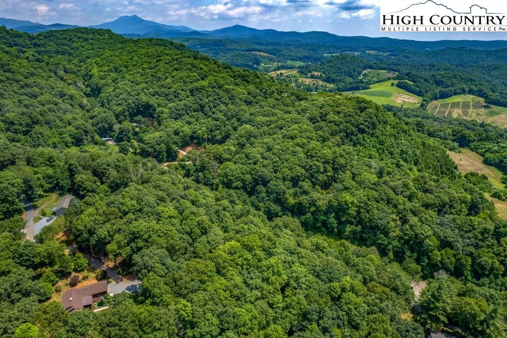 Image number 3 for the current listing