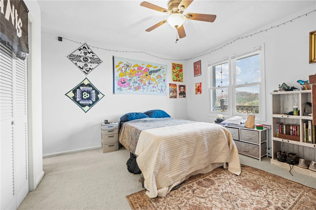Image number 12 for the current listing