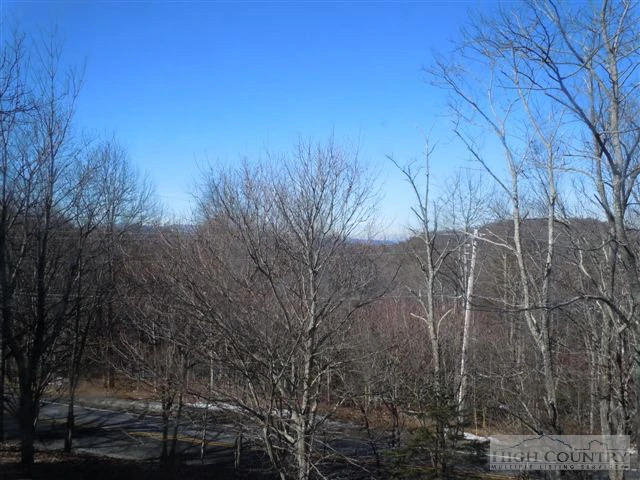 Image number 6 for the current listing