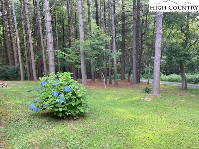 Image number 12 for the current listing