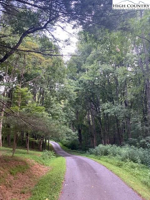 Image number 9 for the current listing