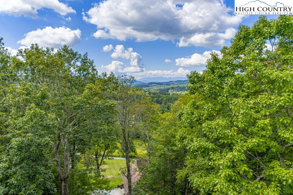 Image number 2 for the current listing