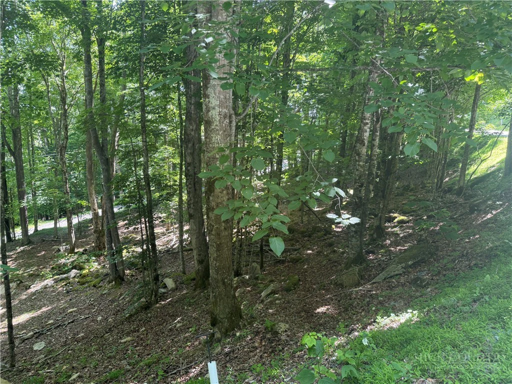 Image number 2 for the current listing