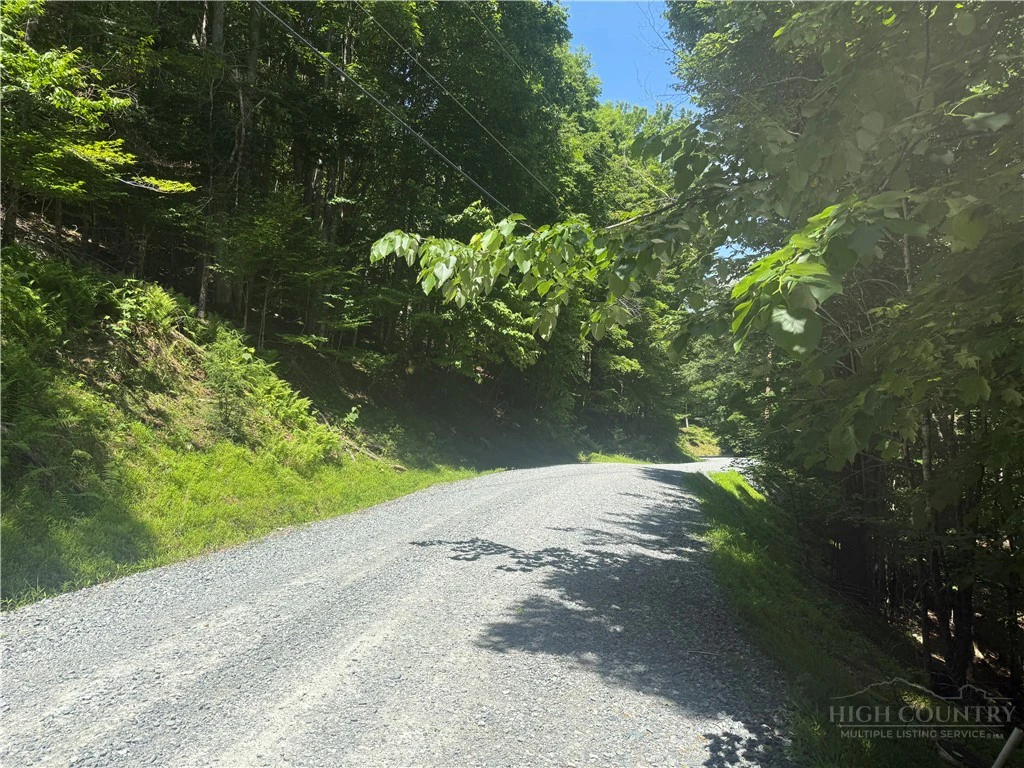 Image number 3 for the current listing