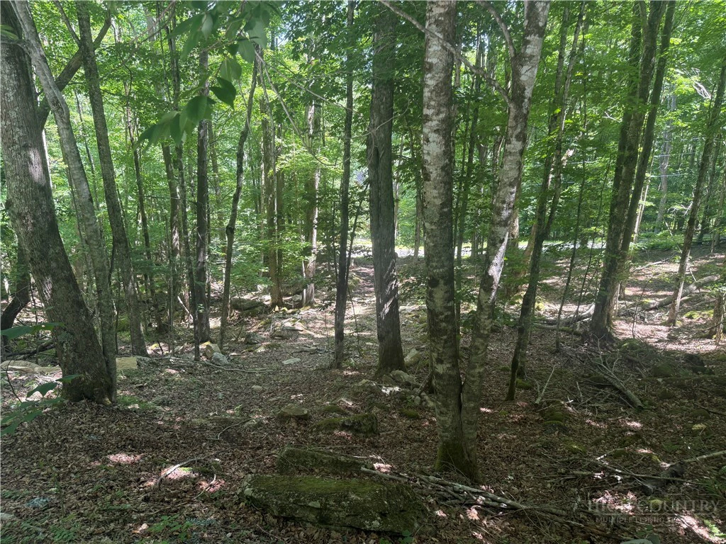 Image number 5 for the current listing