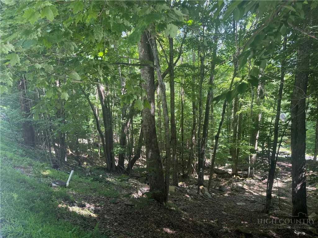 Image number 6 for the current listing