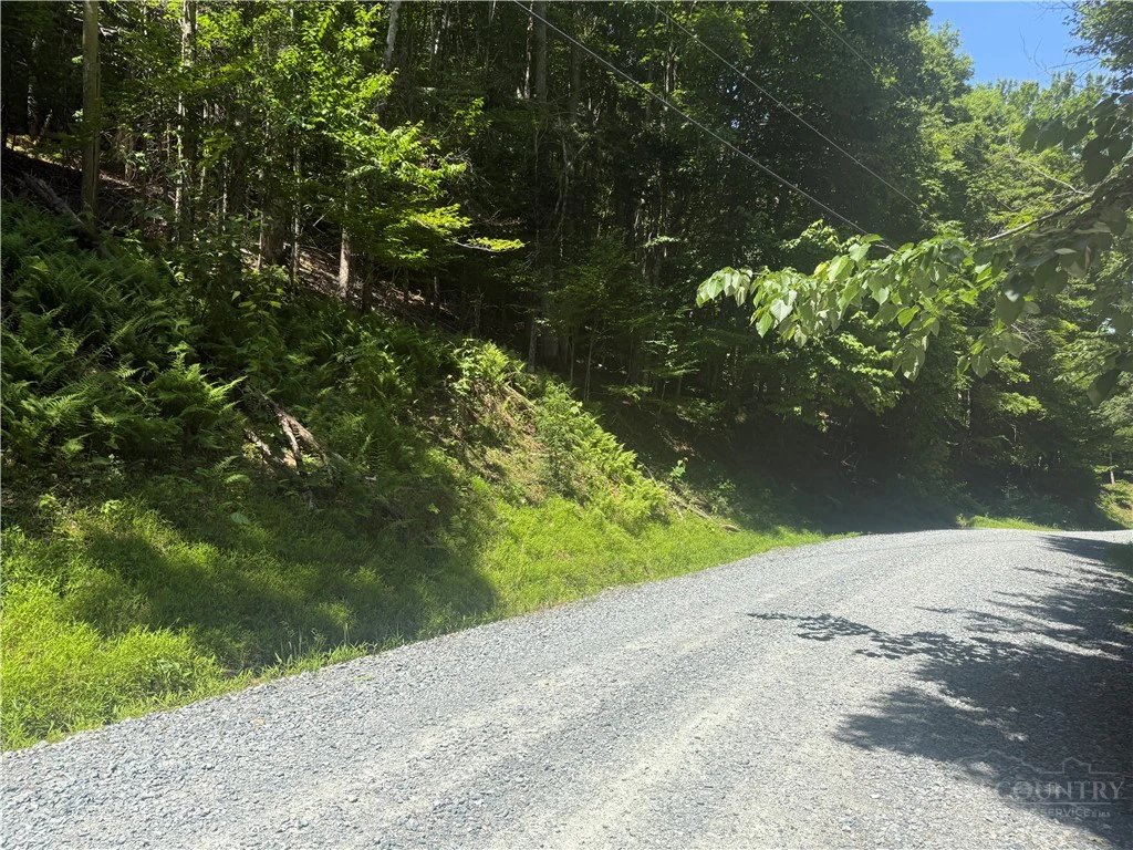 Image number 7 for the current listing
