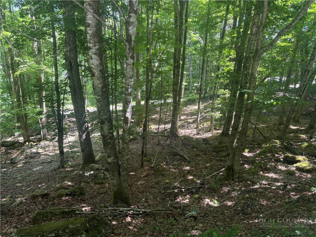 Image number 9 for the current listing