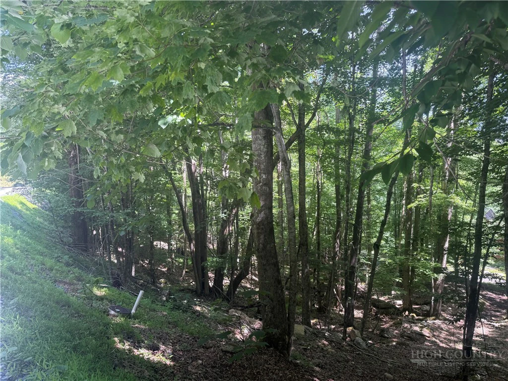 Image number 10 for the current listing
