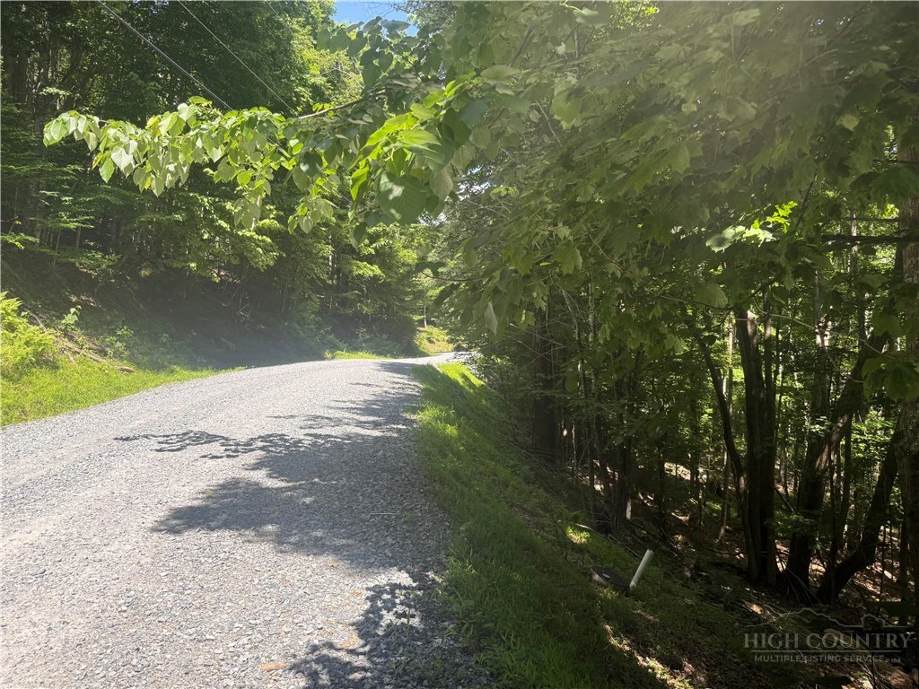 Image number 11 for the current listing