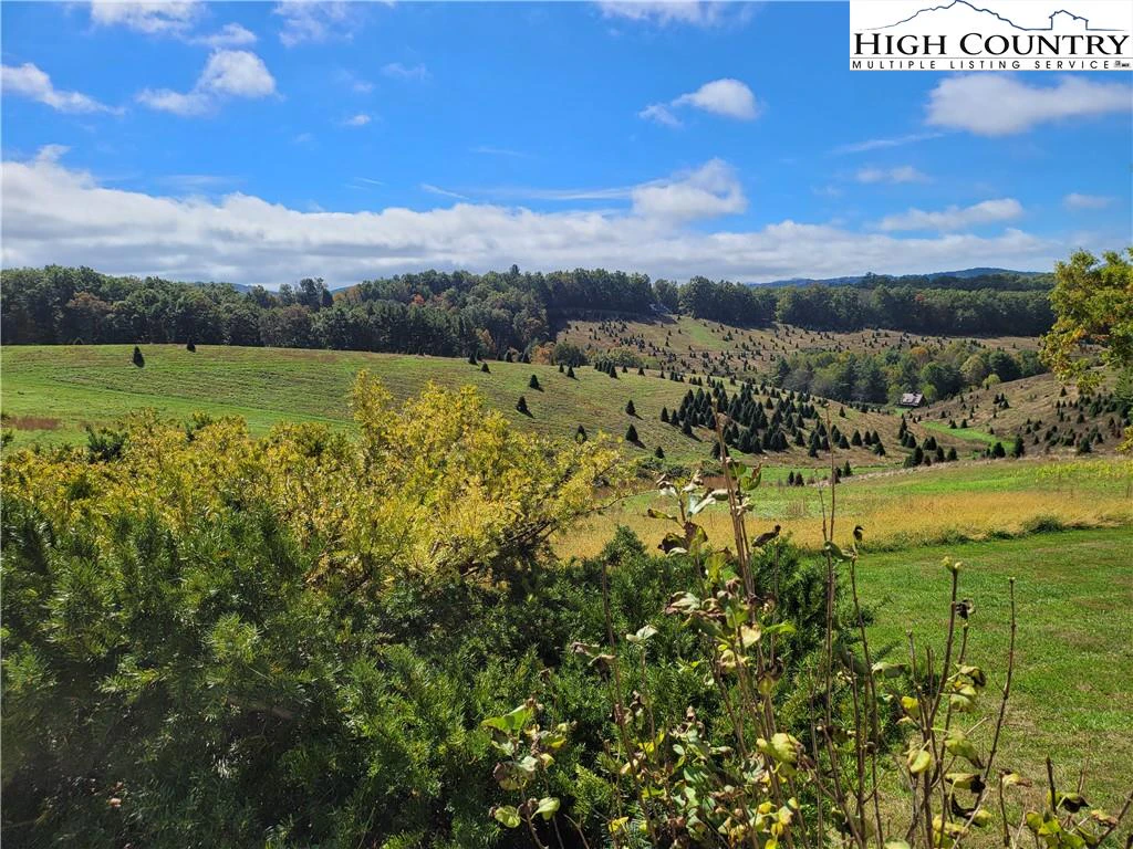 Image number 13 for the current listing