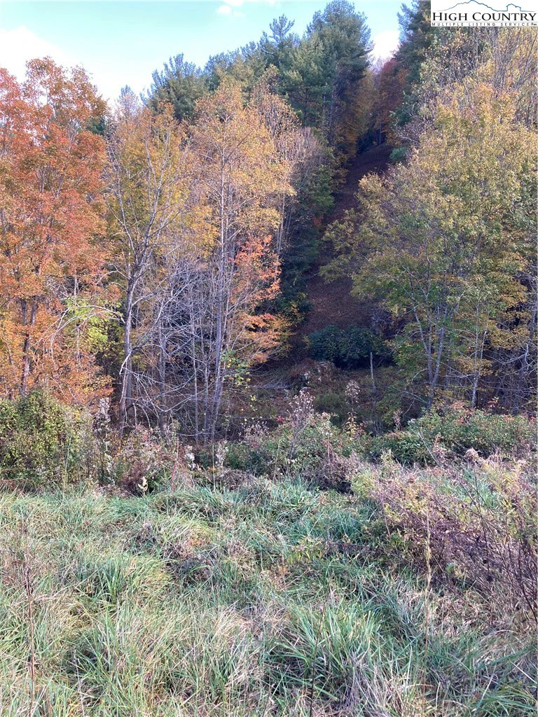 Image number 1 for the current listing