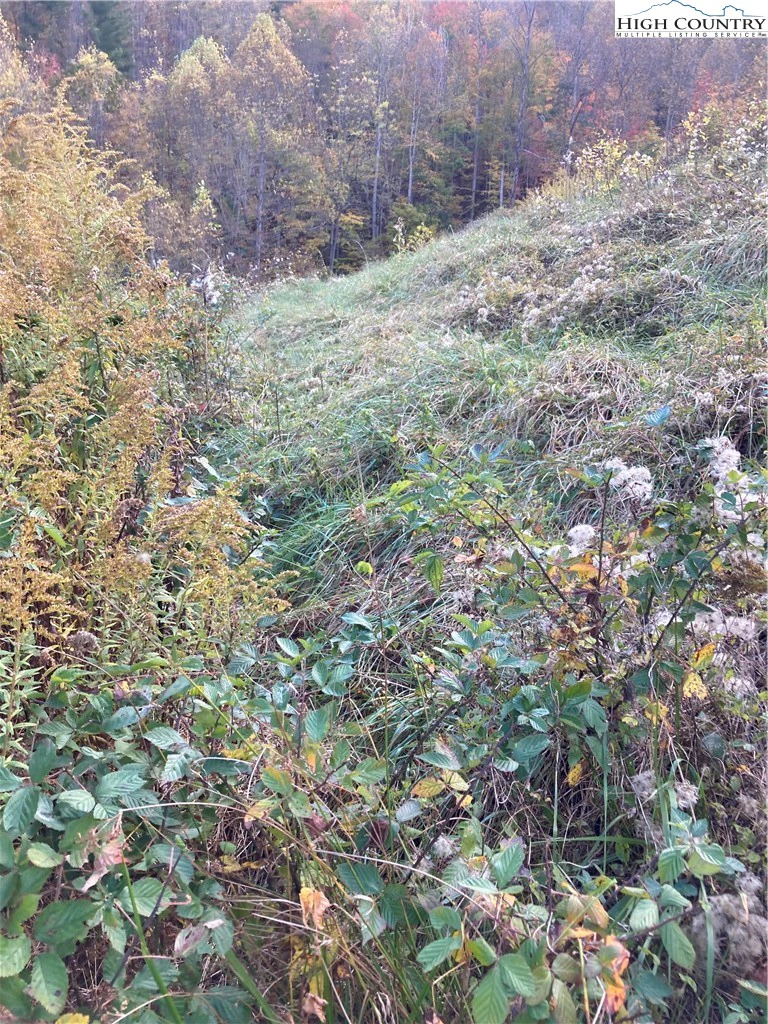 Image number 3 for the current listing