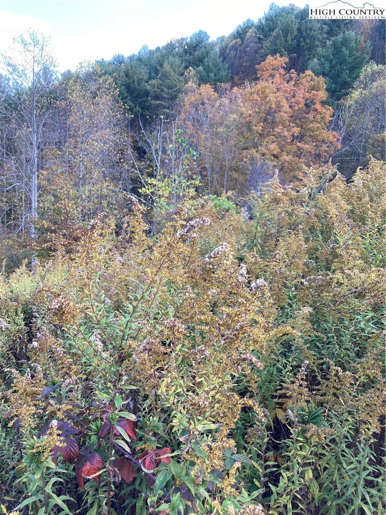 Image number 4 for the current listing