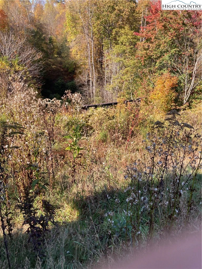 Image number 6 for the current listing