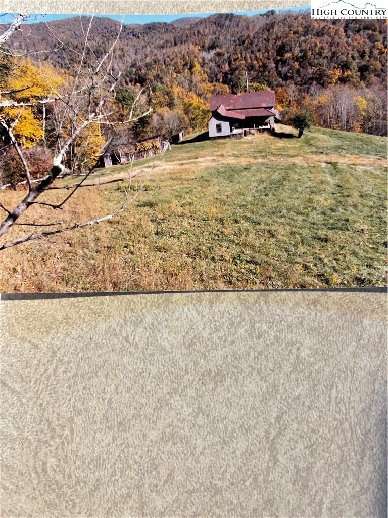 Image number 13 for the current listing