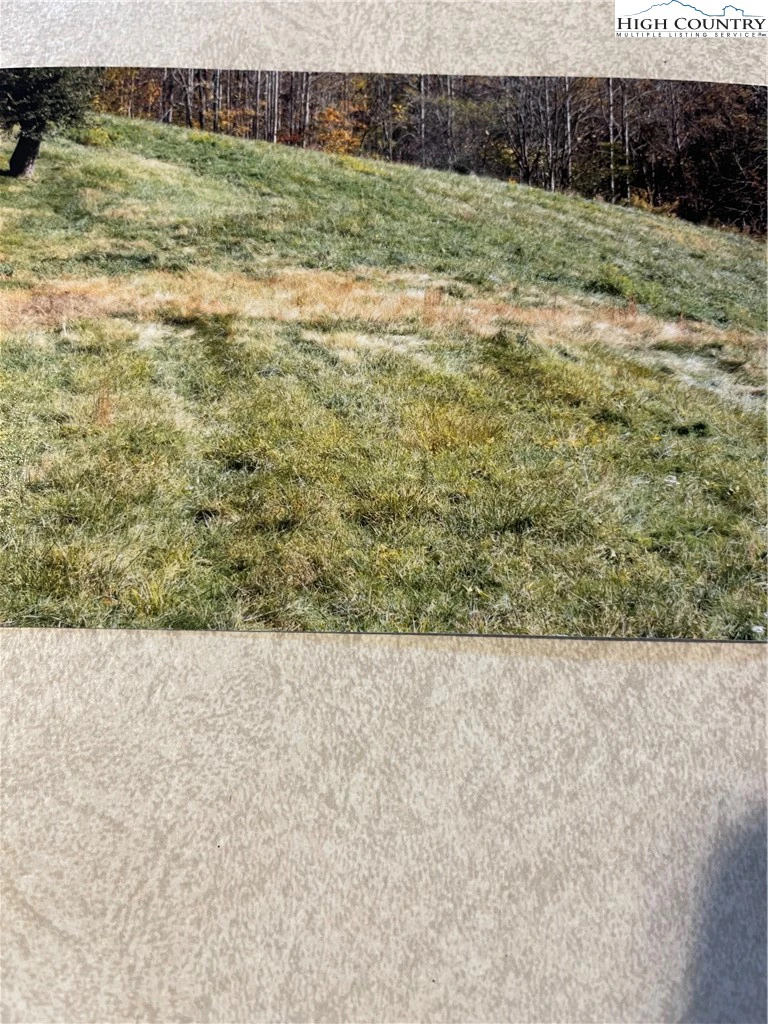 Image number 18 for the current listing