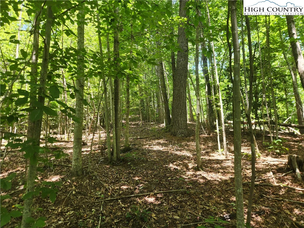 Image number 3 for the current listing