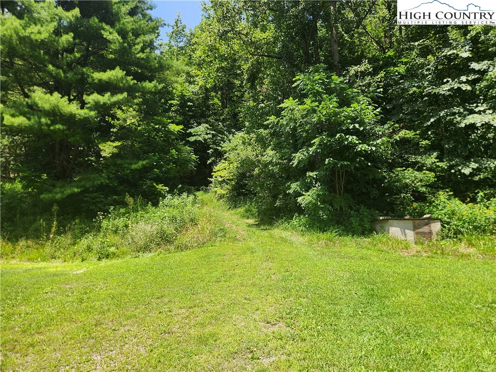 Image number 11 for the current listing