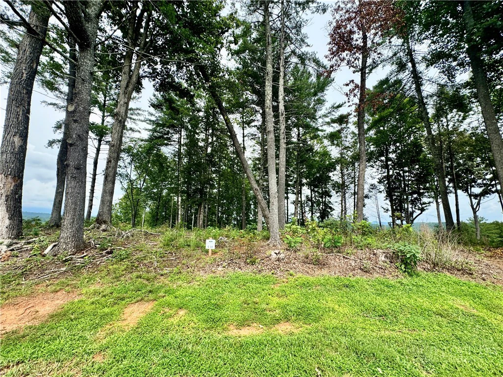 Image number 1 for the current listing