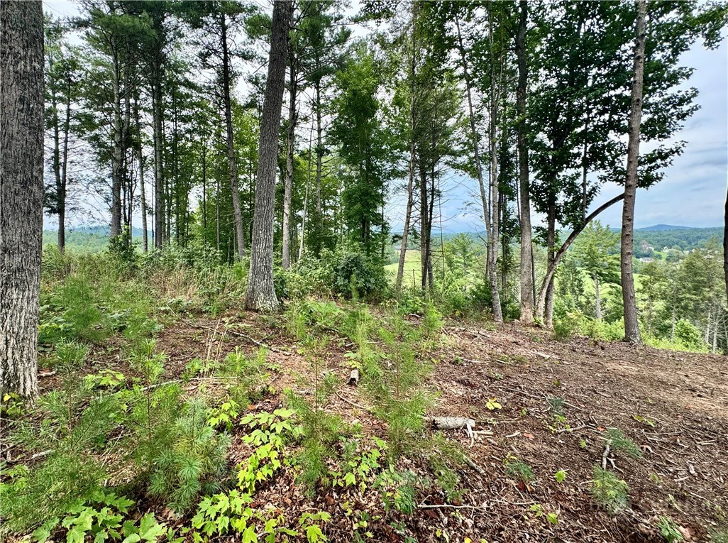 Image number 8 for the current listing