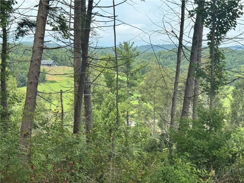 Image number 10 for the current listing